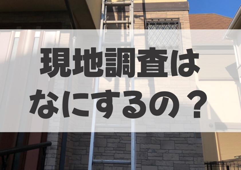 現地調査
